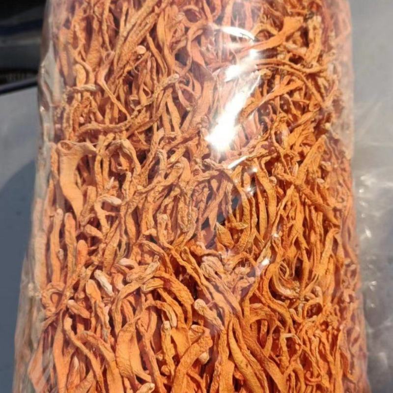 粗条卷草
