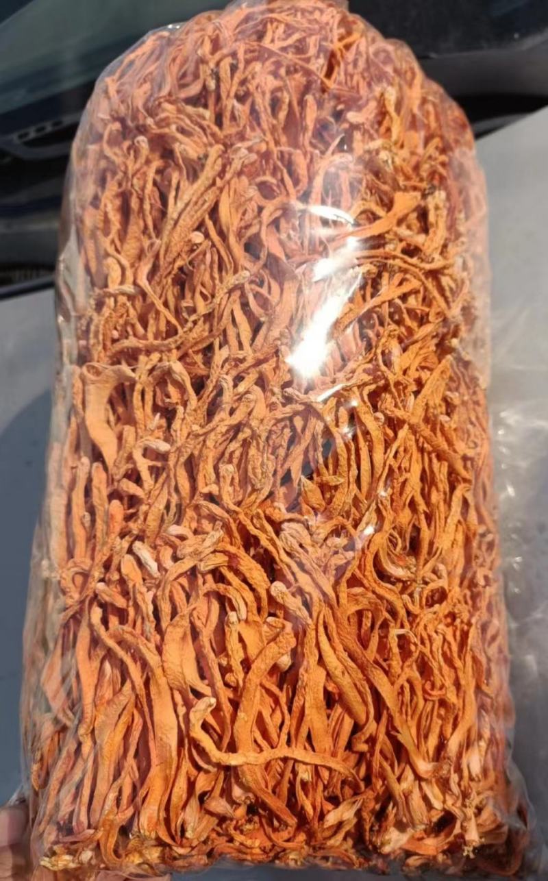 粗条卷草