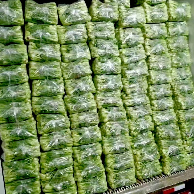 精品上海青小油菜飘儿白小青菜产地一手货源常年供应货源充足