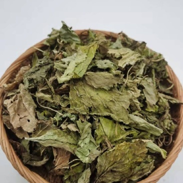 苏叶统装500g产地山东振兴药材购销站量大从优