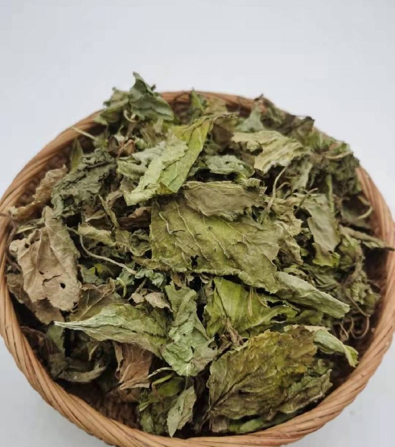 苏叶统装500g产地山东振兴药材购销站量大从优