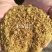 河北棉粕辅料，降低成本，增加收入的不二之选，欢迎咨询