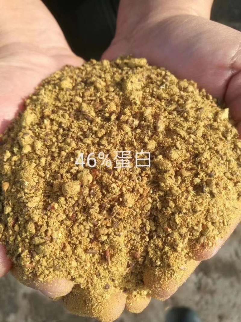 河北棉粕辅料，降低成本，增加收入的不二之选，欢迎咨询