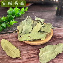 罗布麻罗布麻叶罗布麻茶正品罗布麻干货