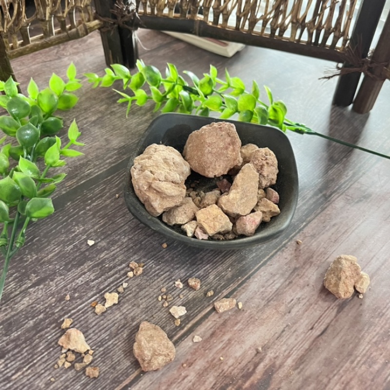 女贞子制女贞子规格齐全批发各种中药材有需要联系