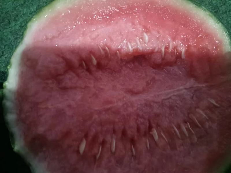 甜度高西瓜欢迎联系