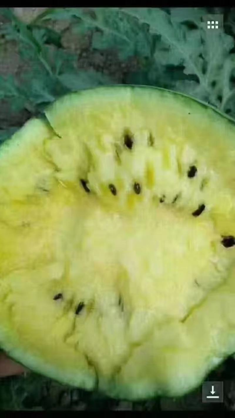 甜度高西瓜欢迎联系