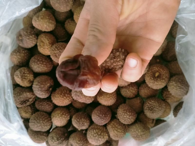 雞嘴荔枝干