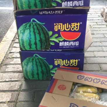 西瓜