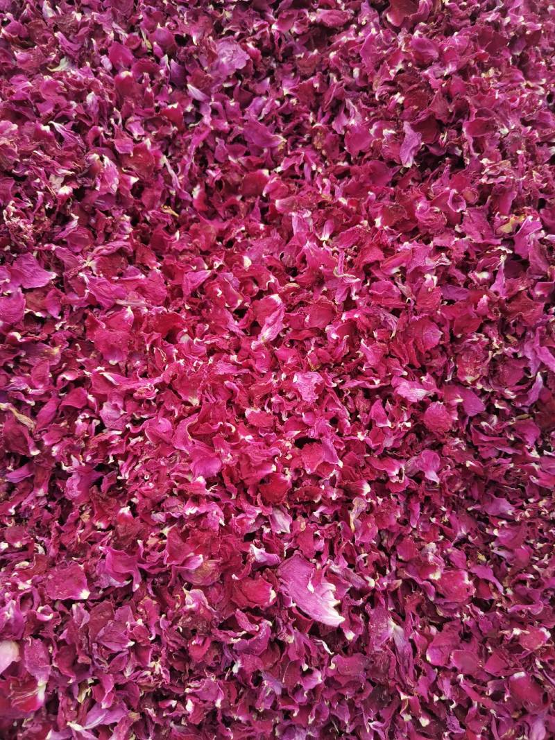 玫瑰干花瓣