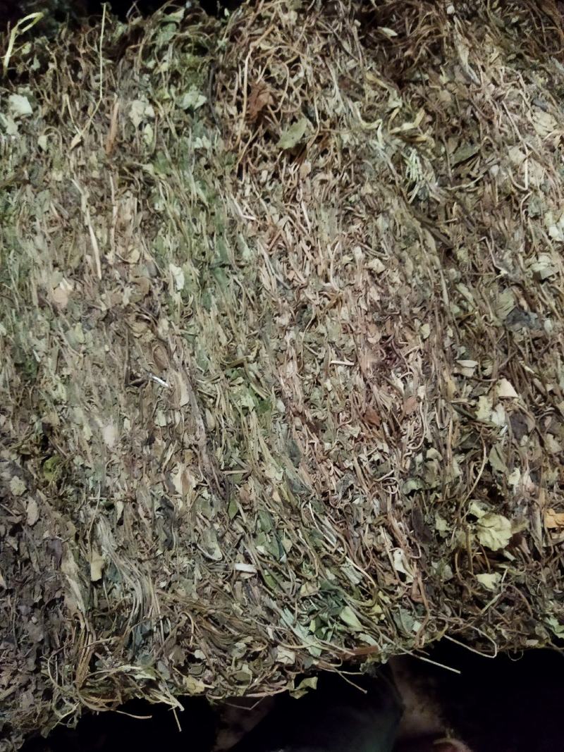 金钱草川大叶金钱草高含量0.17货干大货