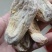 芭蕉根干货无硫农副产品不满意可以退换货