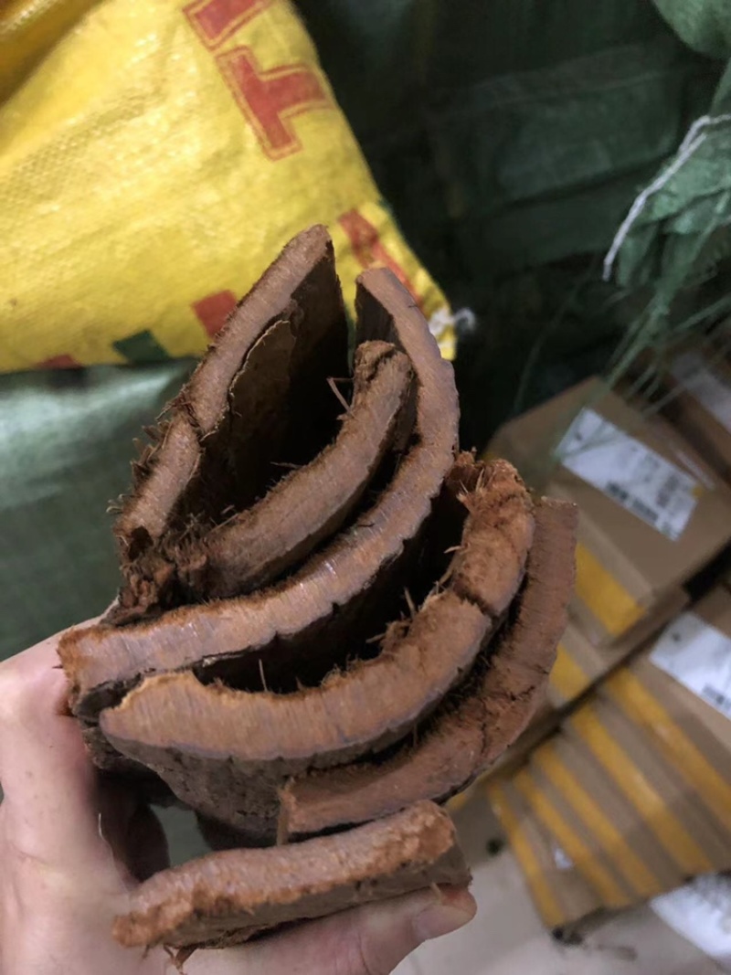 树皮，安哥拉树皮，卡宾达树皮，厚树皮，剥树皮，树皮