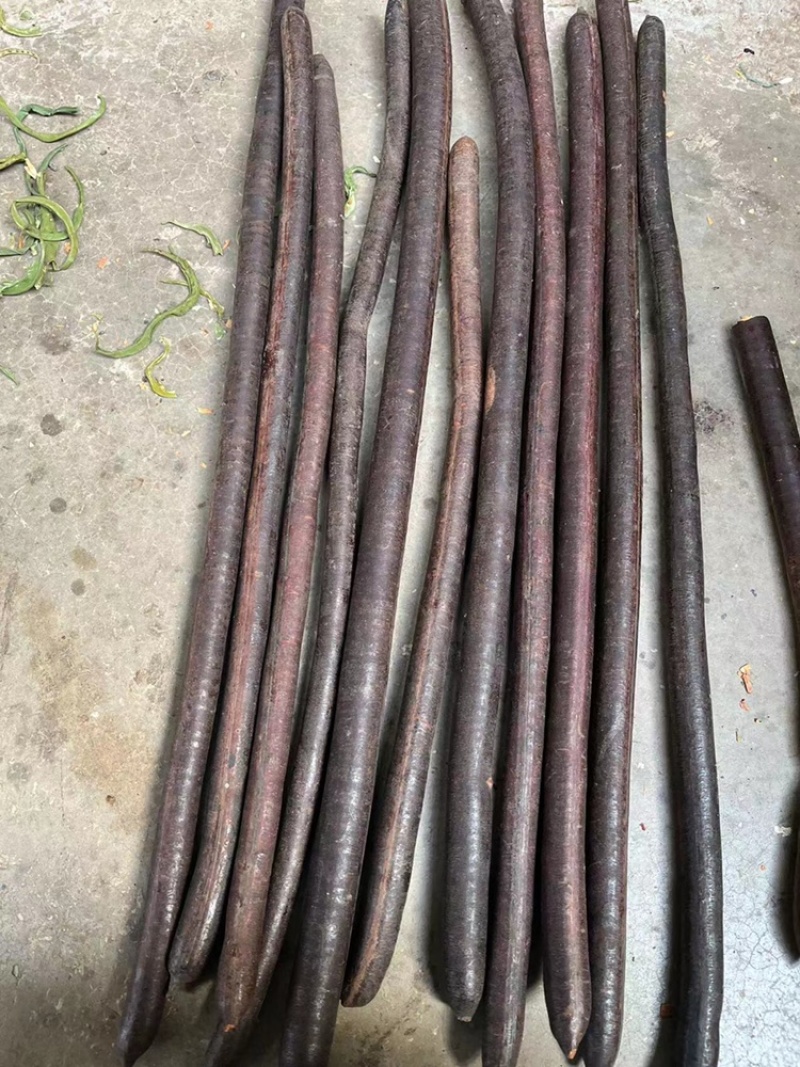腊肠果，便秘果，大解果，大货批发，无虫便秘果，整根便秘果