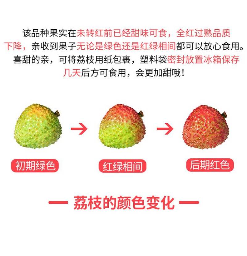 海南妃子笑荔枝荔枝一件代发京东空运妃子笑荔枝一件代发