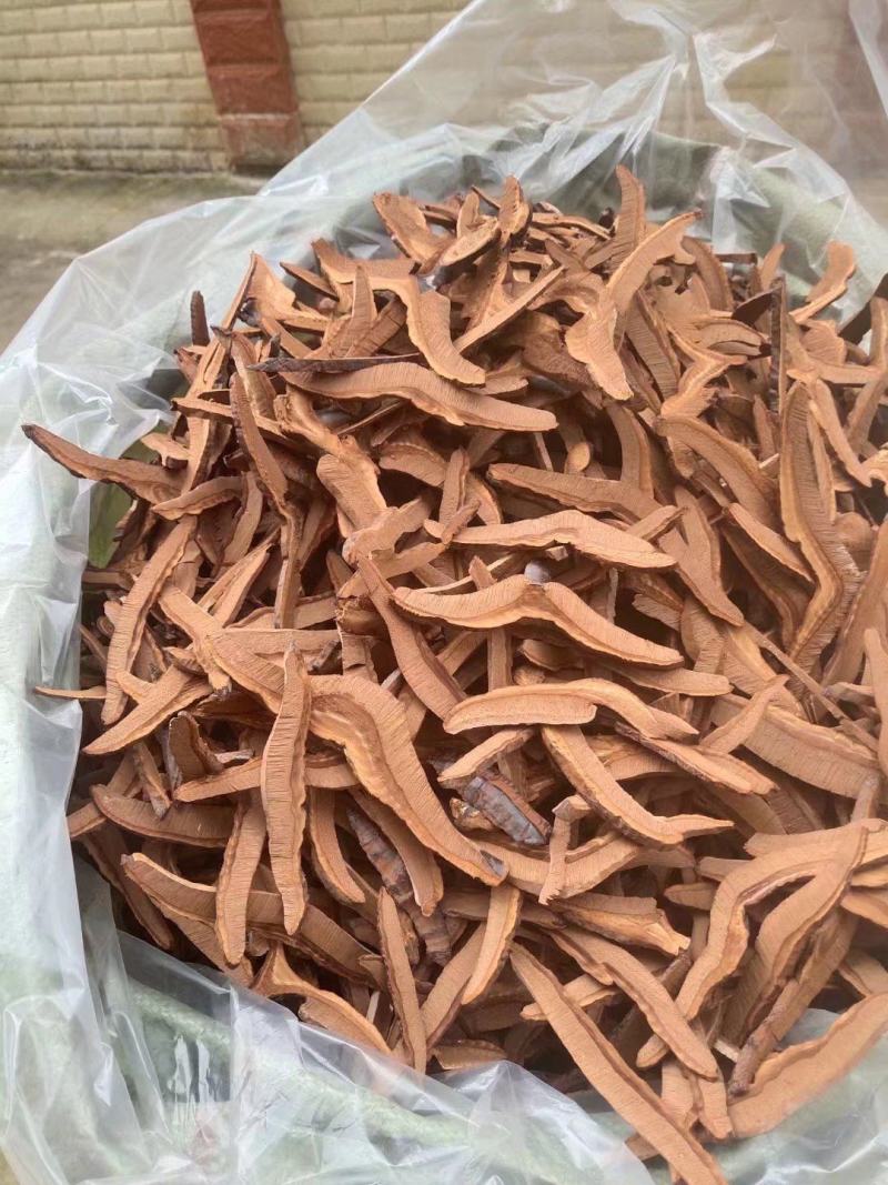 灵芝片灵芝个灵芝个片大货供应一件代发