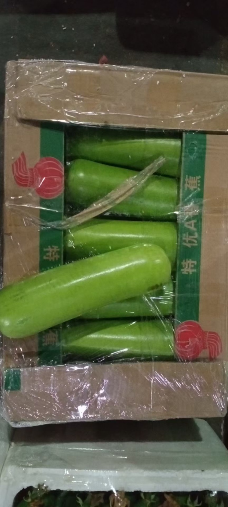 短蒲瓜，园蒲瓜，瓠瓜，花皮小南瓜，青南瓜，