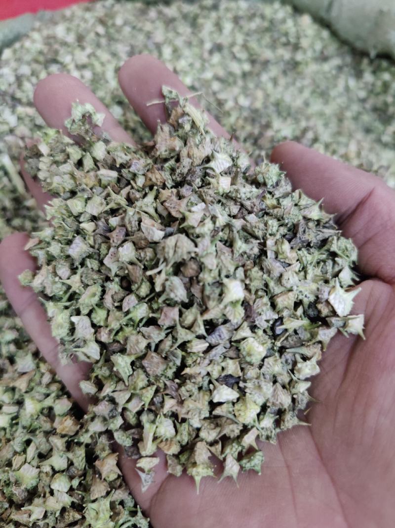 中药材白蒺藜刺蒺藜白蒺藜白蒺藜粉白吉利炒蒺藜