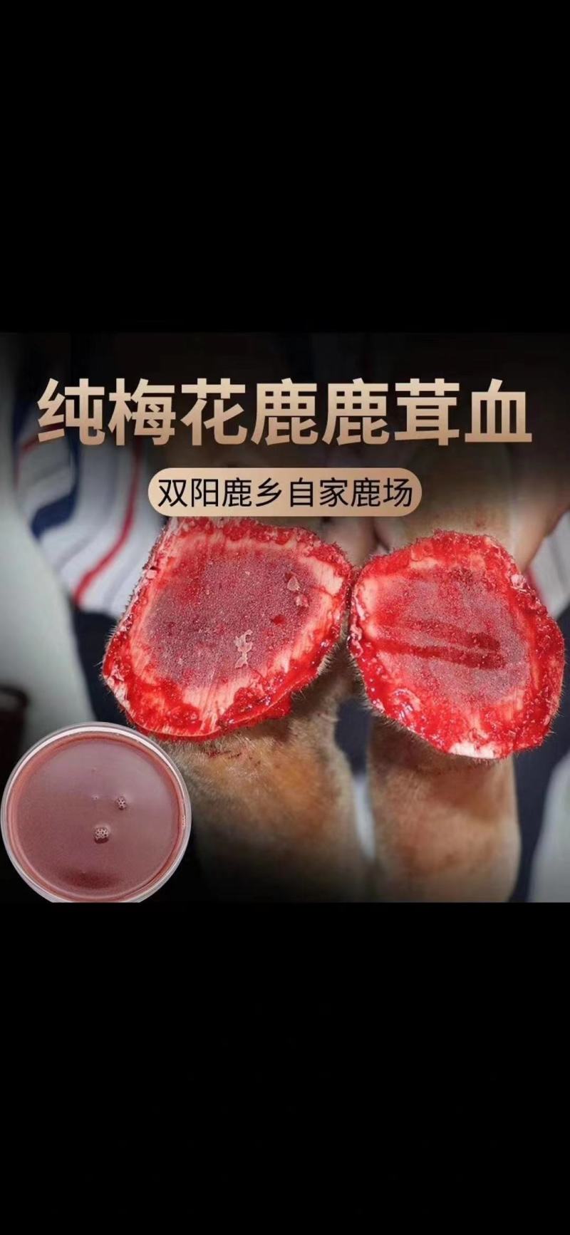 鹿茸血吉林产地直销质量保证包邮到家精品大量
