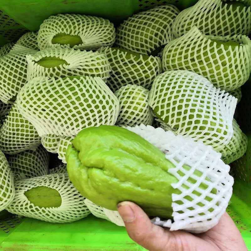 云南脆嫩佛手瓜洋瓜捧瓜丰收瓜窝瓜寿瓜农家种植一件代发