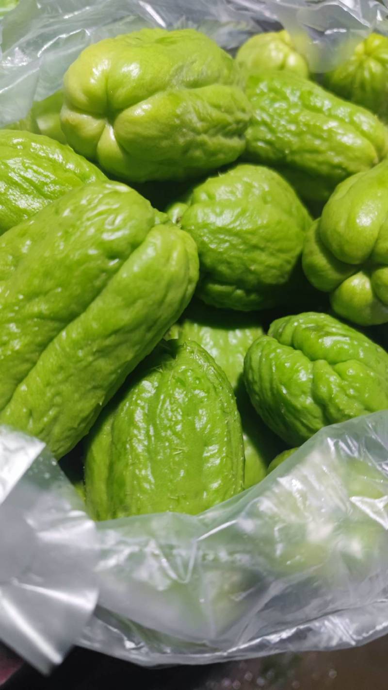 云南脆嫩佛手瓜洋瓜捧瓜丰收瓜窝瓜寿瓜农家种植一件代发