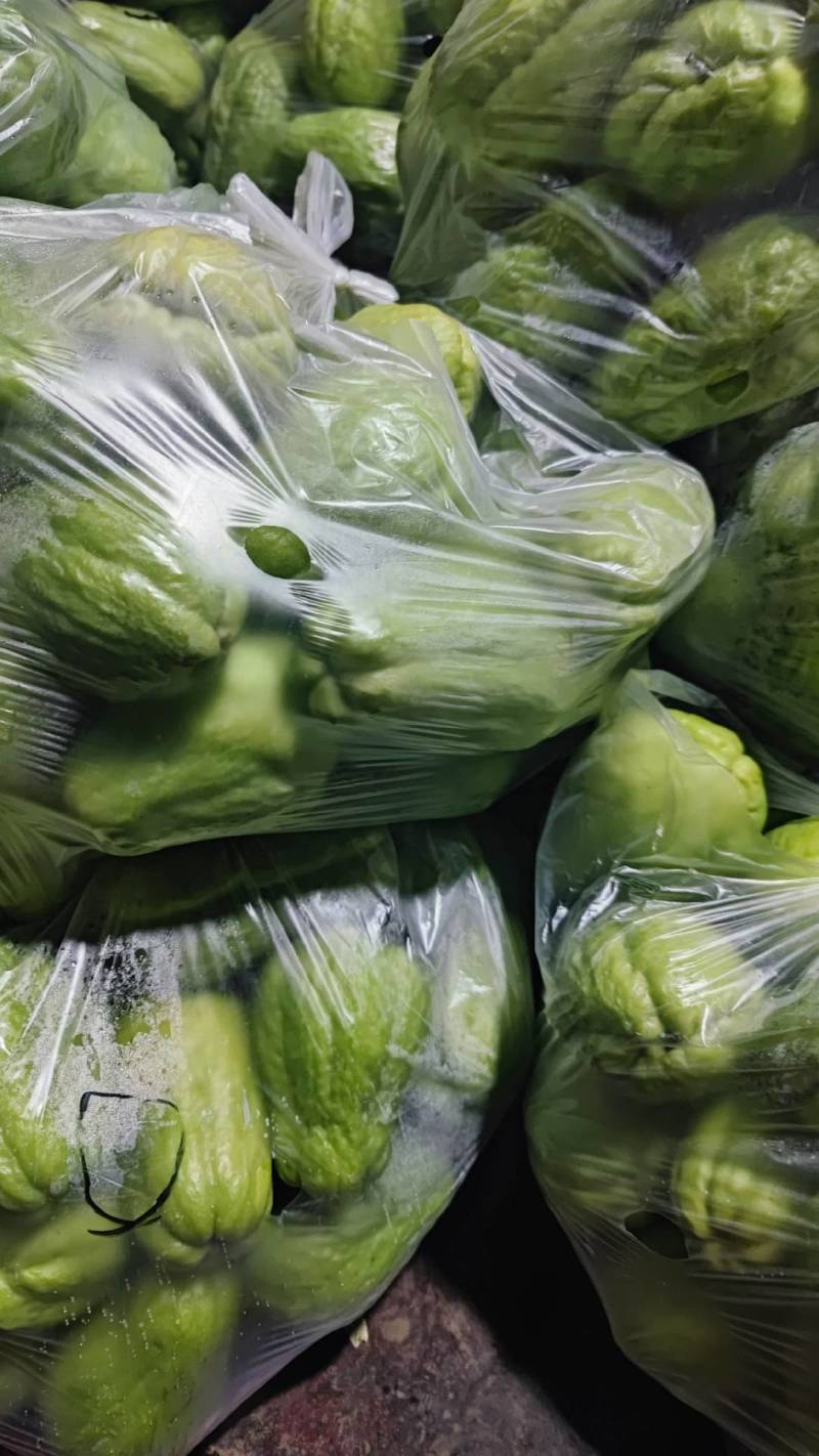 云南脆嫩佛手瓜洋瓜捧瓜丰收瓜窝瓜寿瓜农家种植一件代发