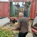 驻马店土豆，有荷806土豆，皮黄，肉黄，一手货源