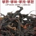 云南普洱无量山自然保护区国有林野生古树红茶散毛茶