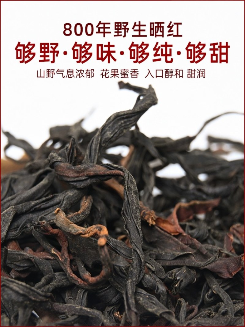 云南普洱无量山自然保护区国有林野生古树红茶散毛茶