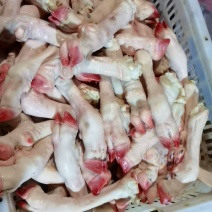羊副产品