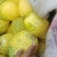 福田新姑娘，花豹三号，瓜皮白肉，薄皮系列