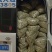 又是一年槐花香2026年纯野生洋槐花大量上，全程冷链运输