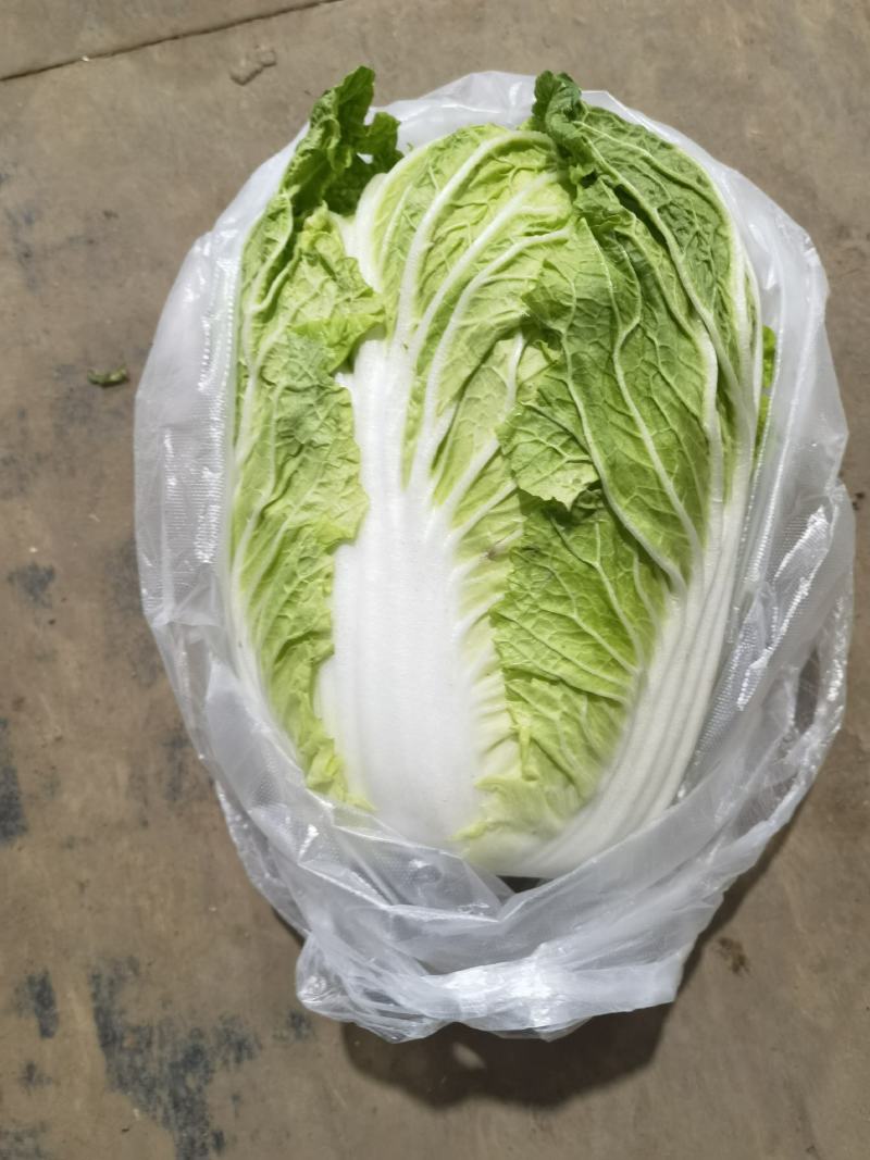 蔬菜礼盒