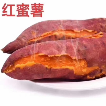 西瓜红，红薯苗细甜，无丝，有小蜜薯之称