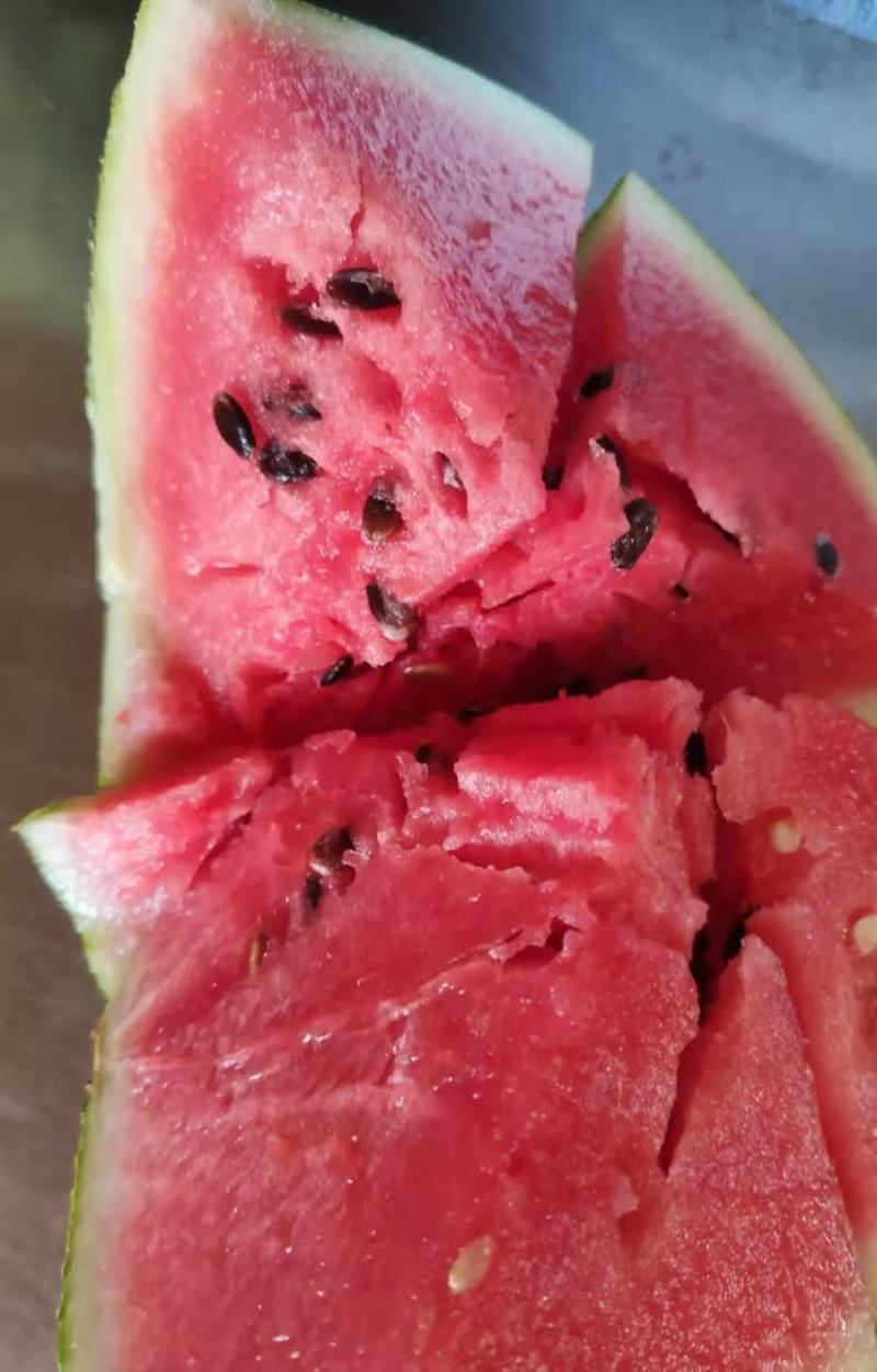 陕西精品甜王，甜王西瓜大量现货供应中！包熟包甜！产地直发