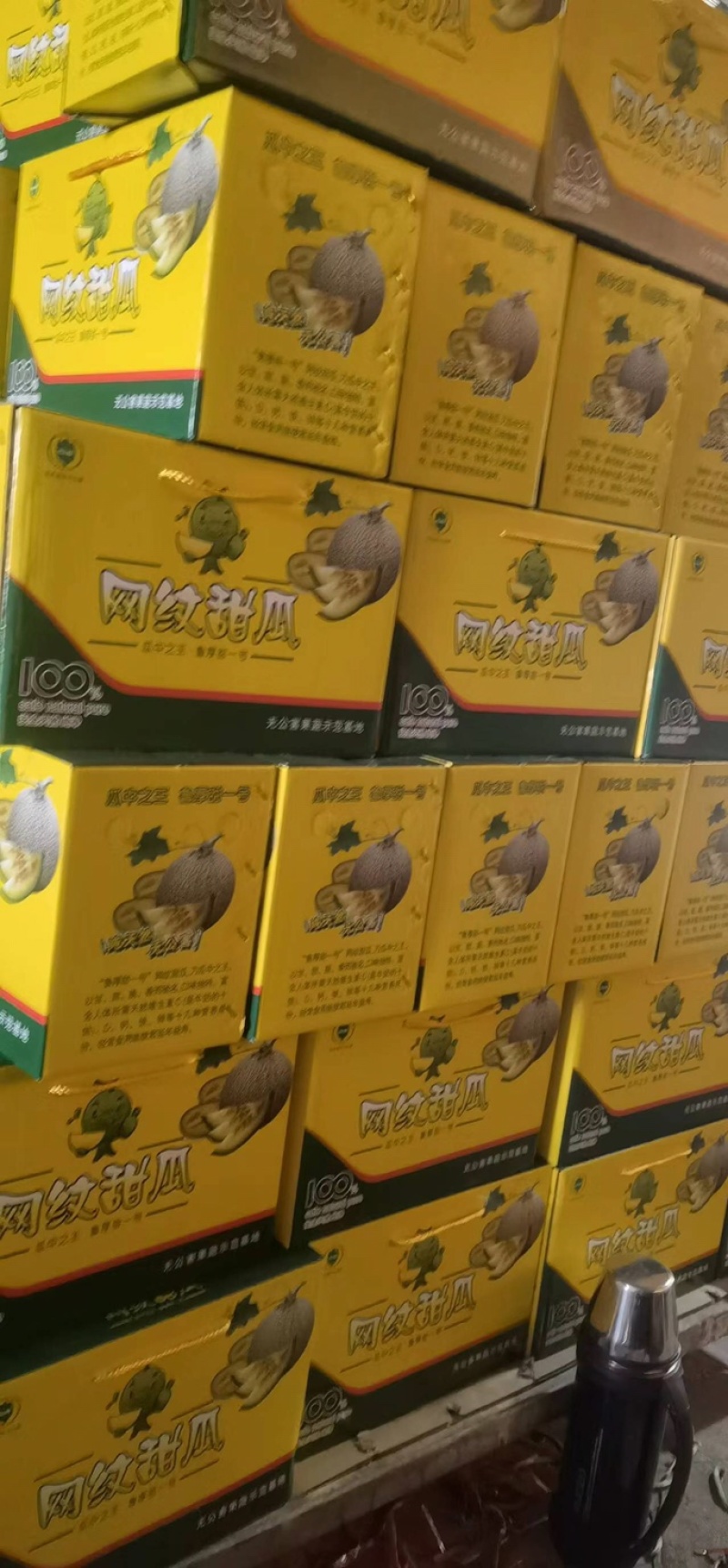 海阳网纹瓜