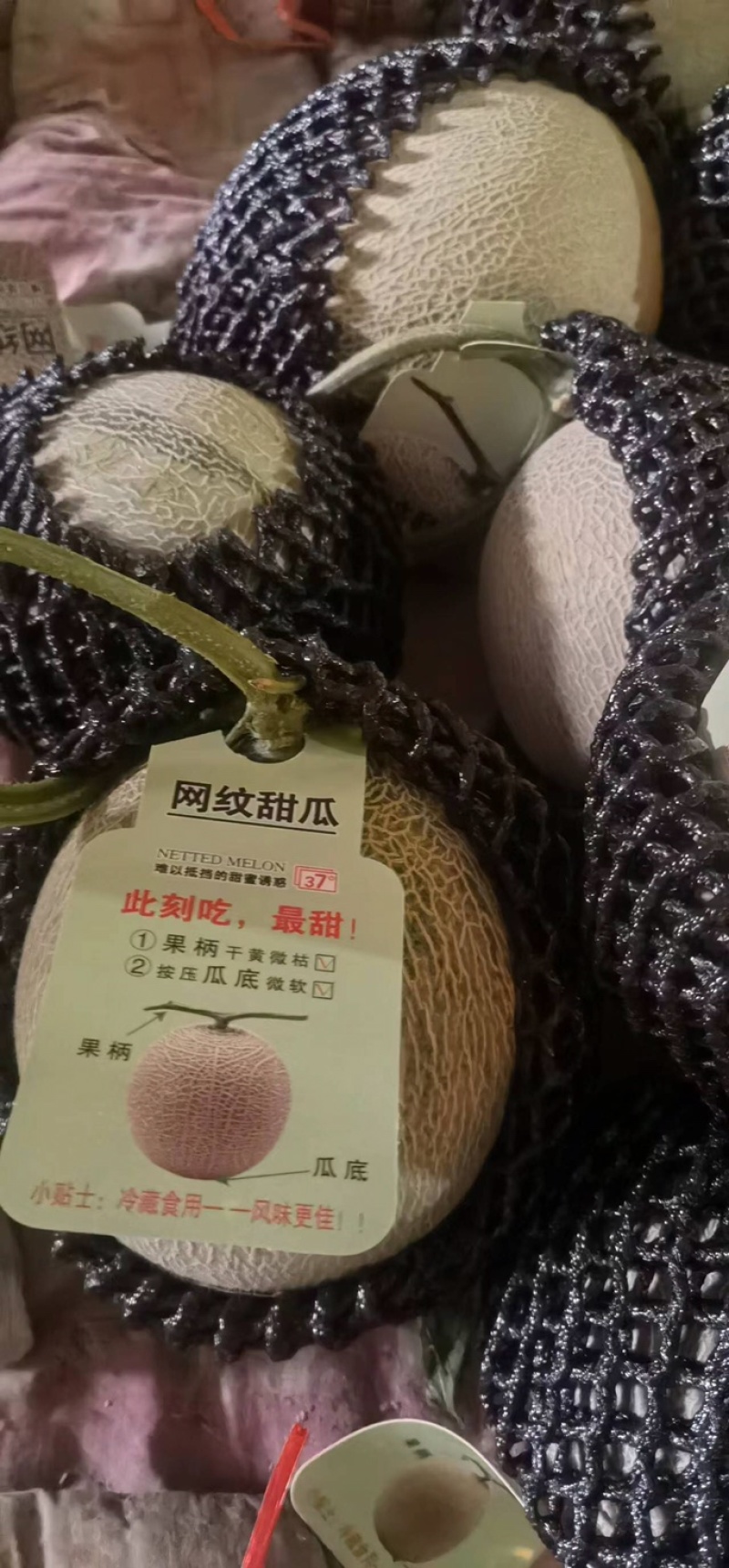 海阳网纹瓜