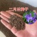 二月兰种子，二月兰花种子，盆栽花海景观绿化花卉种子批发种