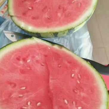 销售大批量太棚西瓜