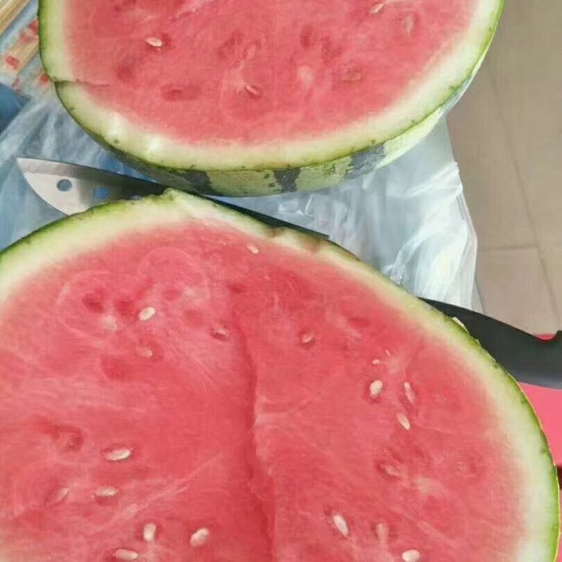 销售大批量太棚西瓜