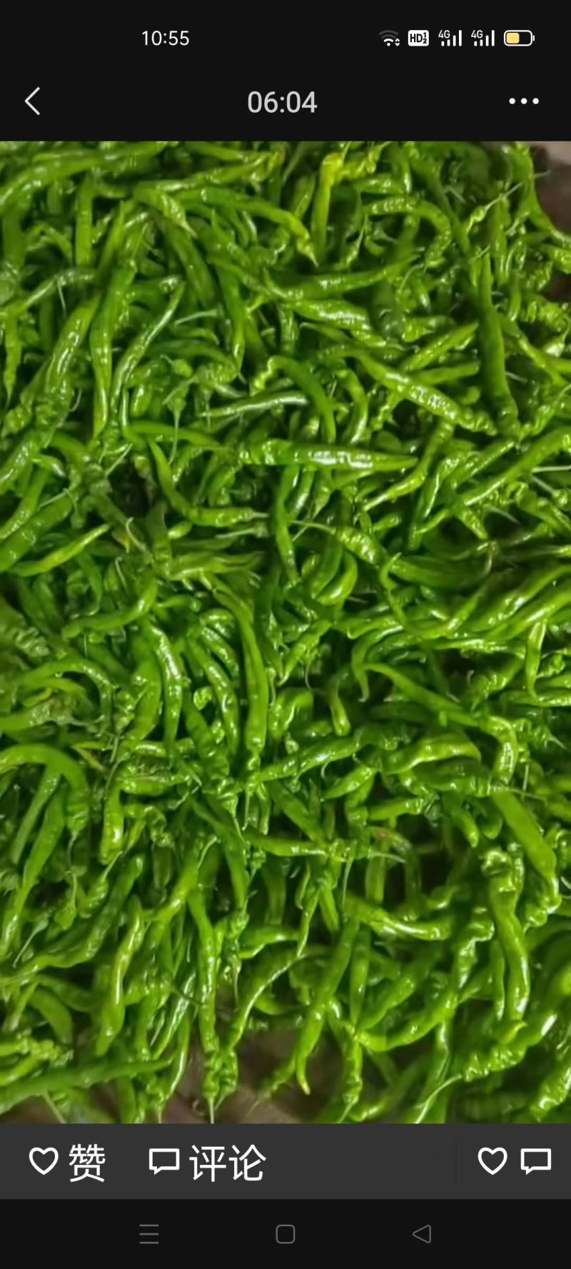 白条架豆大量有货，质量很好价格不高欢迎各地客商前来联系。