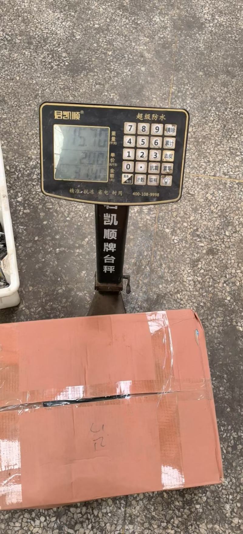 各种规格船冻鲐鲅鱼，青占鱼，大量有货，灯光船冻，拖网船冻