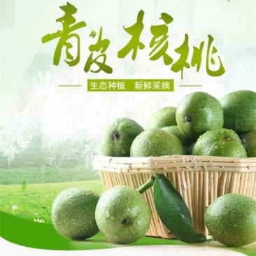 云南大理漾濞南涧青皮核桃批发，正在的产地直销