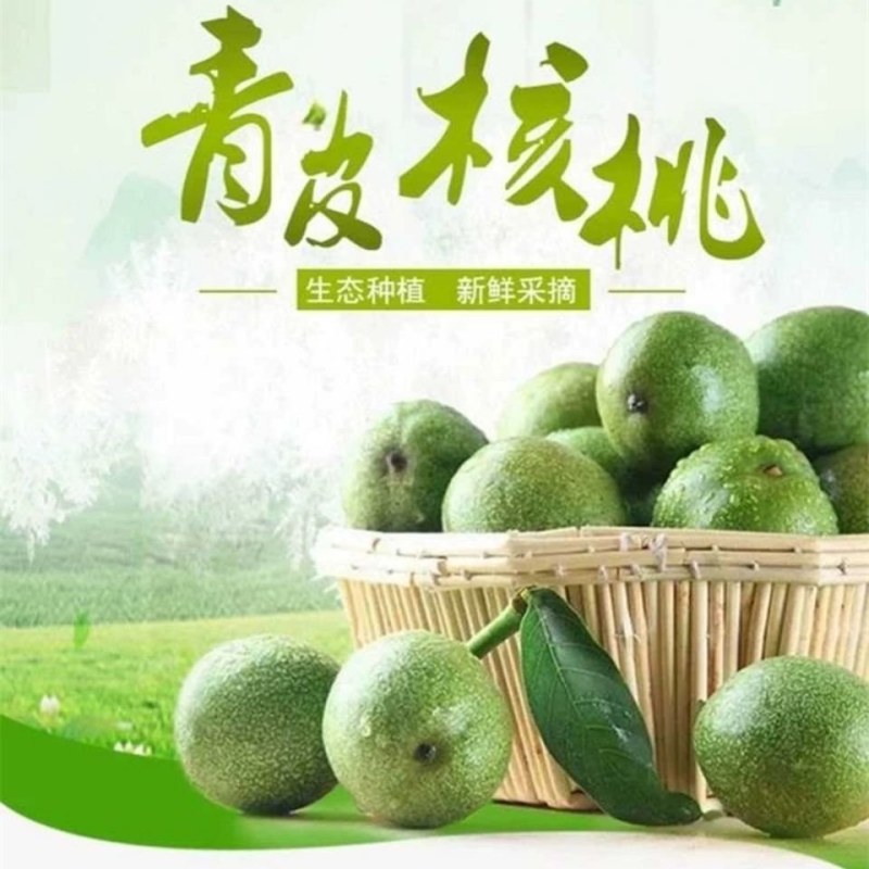 云南大理漾濞南涧青皮核桃批发，正在的产地直销
