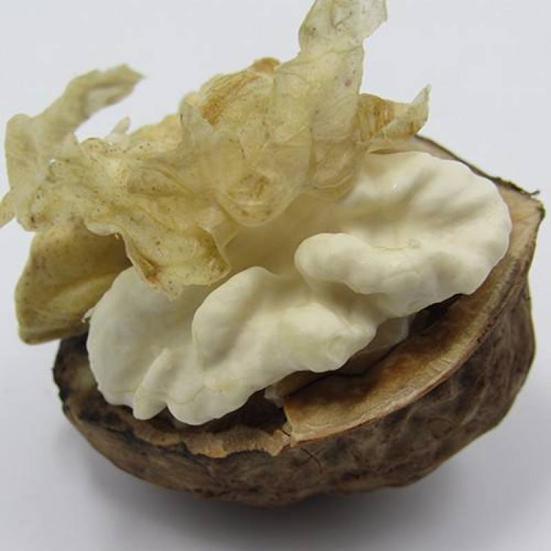 云南大理漾濞南涧青皮核桃批发，正在的产地直销