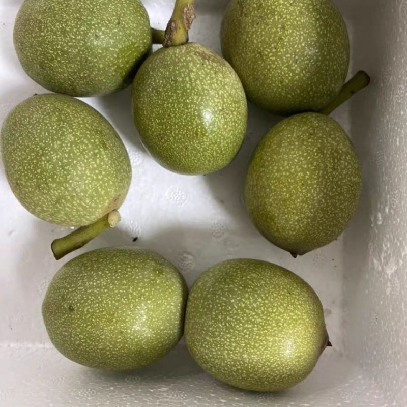 云南大理漾濞南涧青皮核桃批发，正在的产地直销