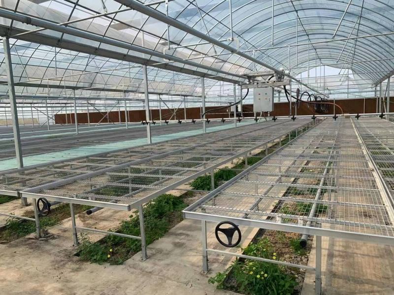 移动苗床实体厂家质优价廉