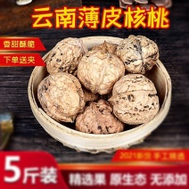 云南大理漾濞南涧无量山高山老树薄皮纸皮核桃批发（干核桃）