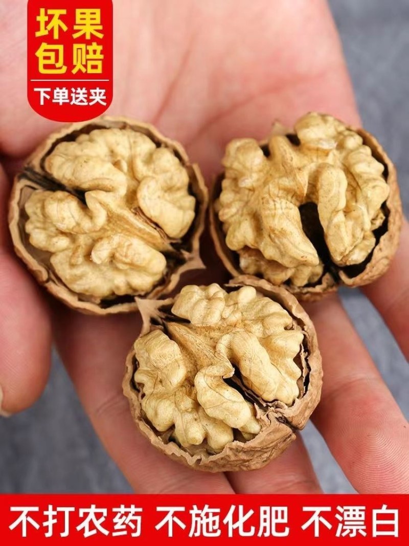 云南大理漾濞南涧无量山高山老树薄皮纸皮核桃批发（干核桃）