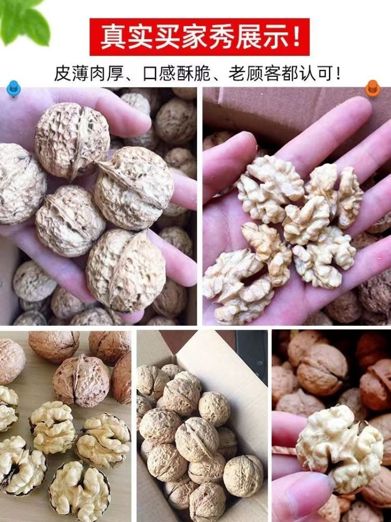 云南大理漾濞南涧无量山高山老树薄皮纸皮核桃批发（干核桃）